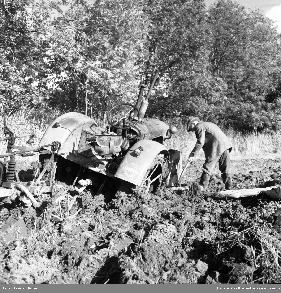 Knut plöjer. Traktorn är av modell Volvo T-43, släpplog Sesam. Traktorns hjul grävde sig ner i jorden på de ställen som var våta.