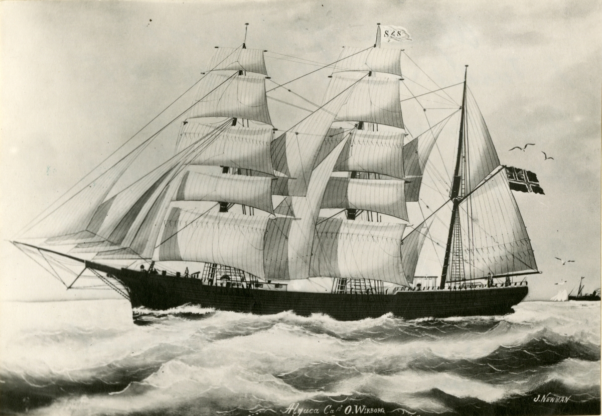 Bark 'Aljuca' (ex Reformer)(b.1874, Tuskel, Nova Scotia, Canada)