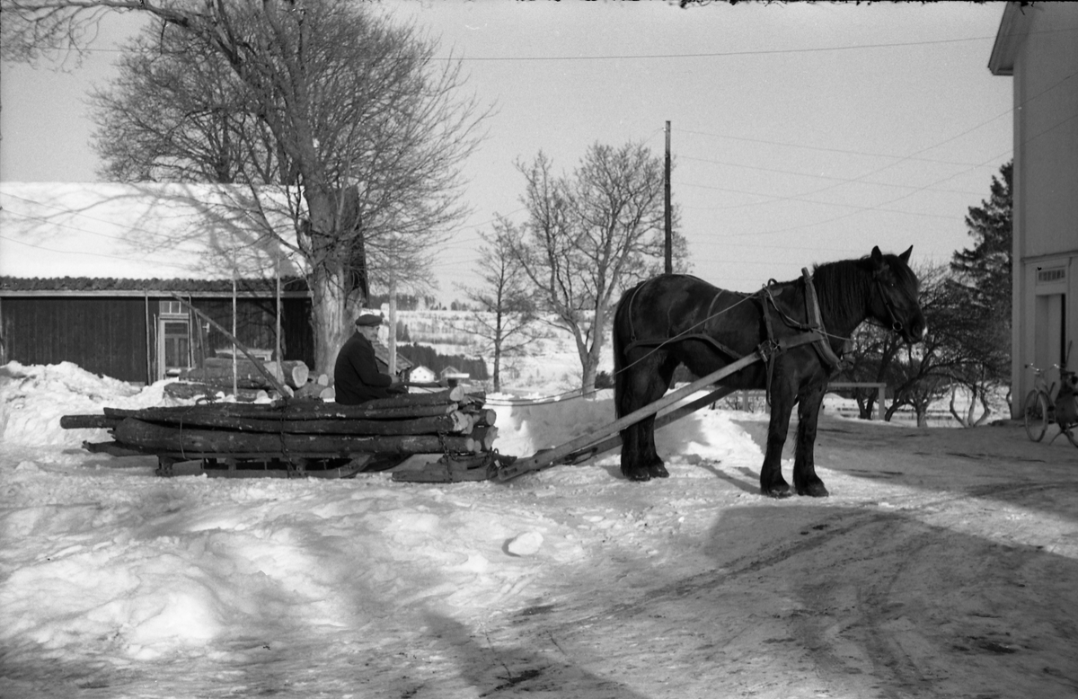 Hest trekker rustning lastet med ved/tømmer. Seks bilder fra gården Gile i Østre Toten, mars 1958. Mannen som sitter på lasset er trolig Martin Grindvoll.