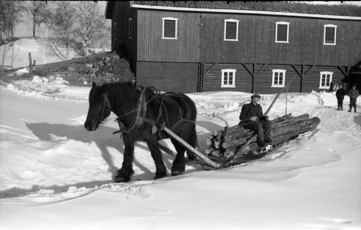 Hest trekker rustning lastet med ved/tømmer. Fire bilder fra gården Gile i Østre Toten, mars 1958. Mannen som sitter på lasset er trolig Martin Grindvoll.