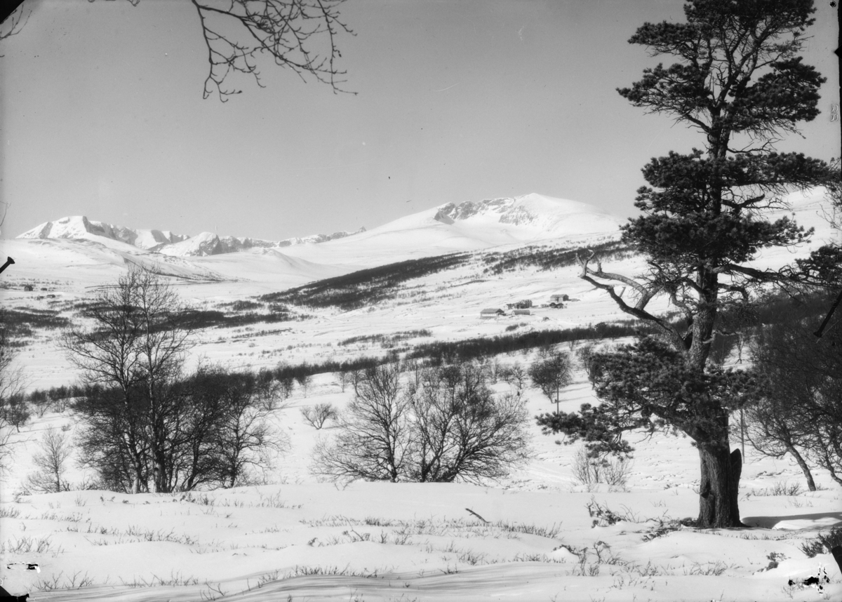 Dovrefjell, utsikt mot Hjerkinn fjellstue med Snøhetta og Svånåtindan til venstre. Vinter