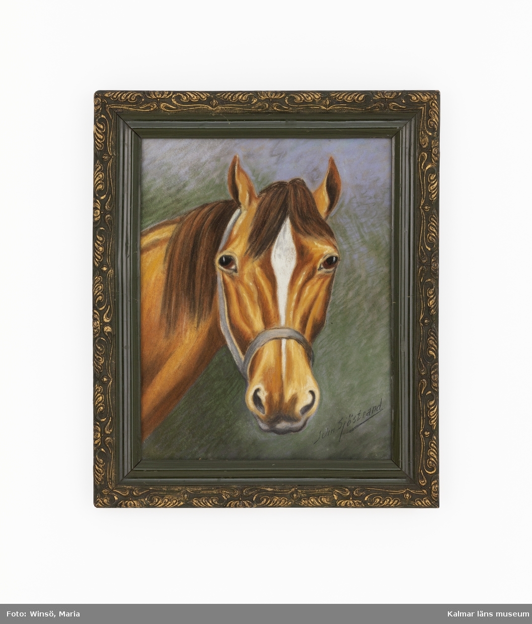Motivet föreställer en brun häst med grön bakgrund.