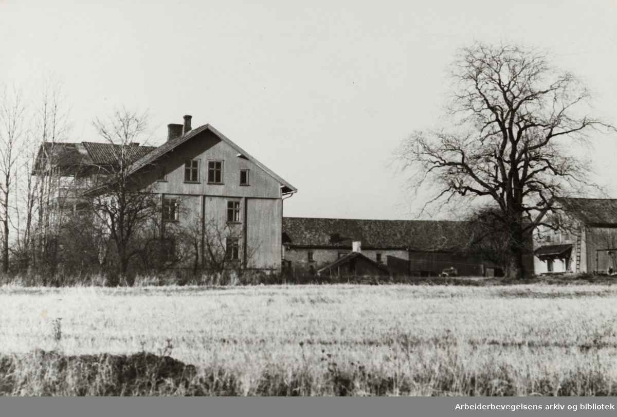 Hovin gård. 1950