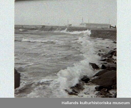 Storm över Västkusten. Artikel i samband med bilden publicerad i Varbergs Tidning 1956-01-18.