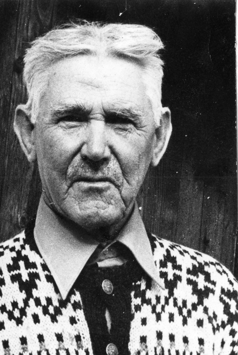 Carl Jensen Darefjell, bonde.