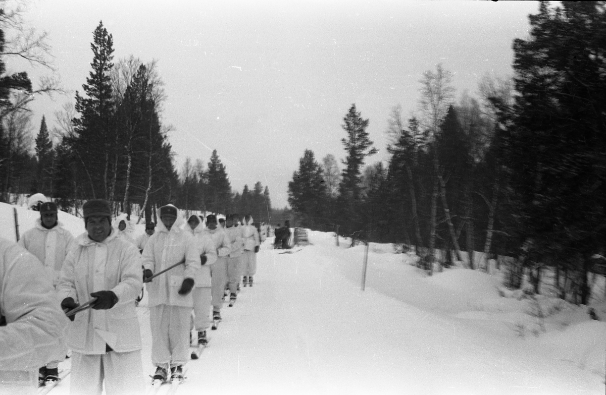 Fem avfotograferte bilder av militært personell som snørekjører på ski bak wiesel. Muligens i nærheten av Heimevernskolen på Dombås.