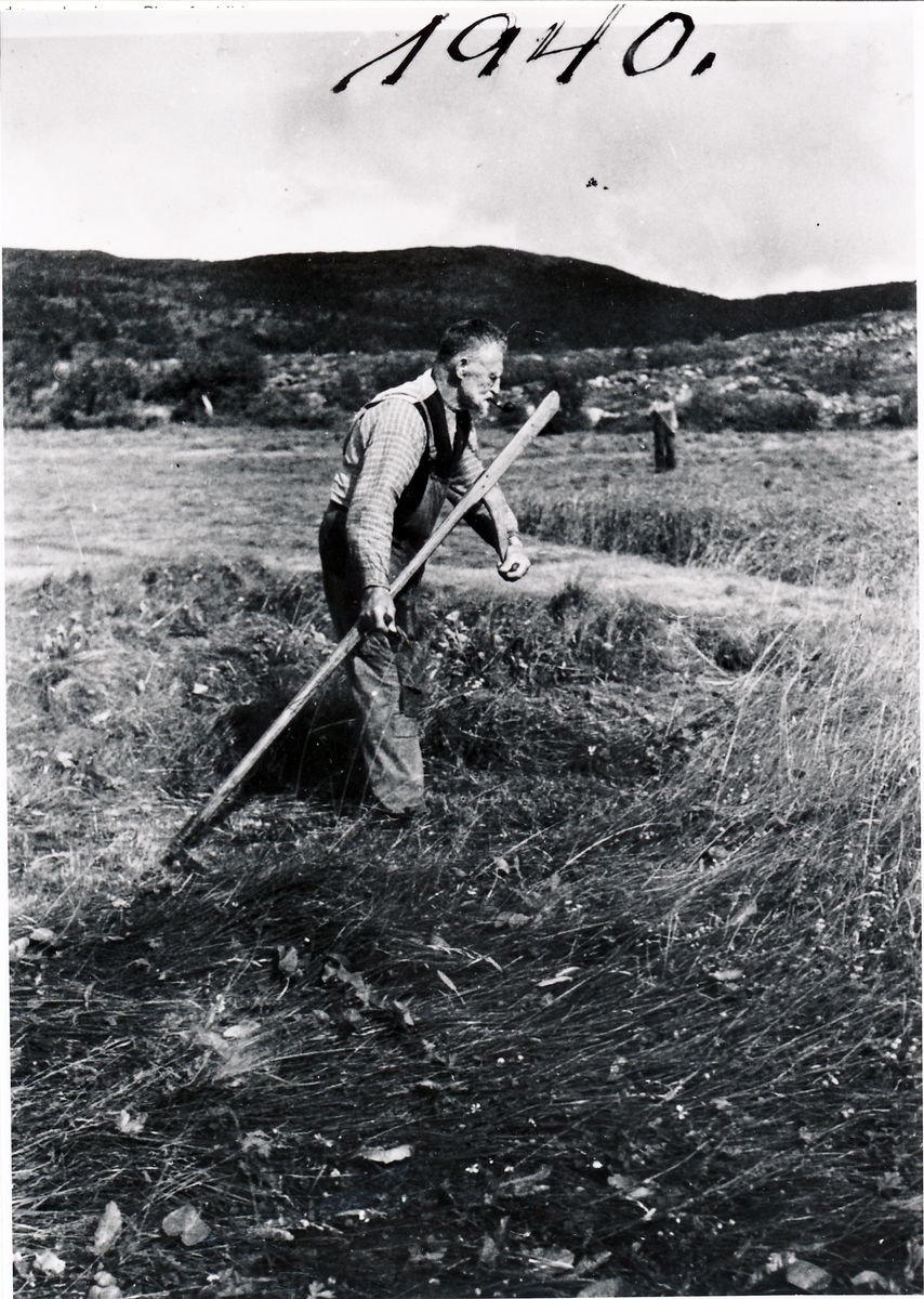 Kristoffer Olsen som slår med ljå på Stangnes. Tranøy 1940