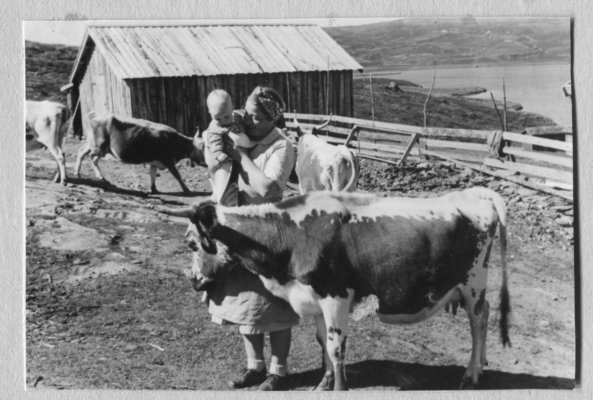 Folk og kyr i Soleikro ca. 1948.
