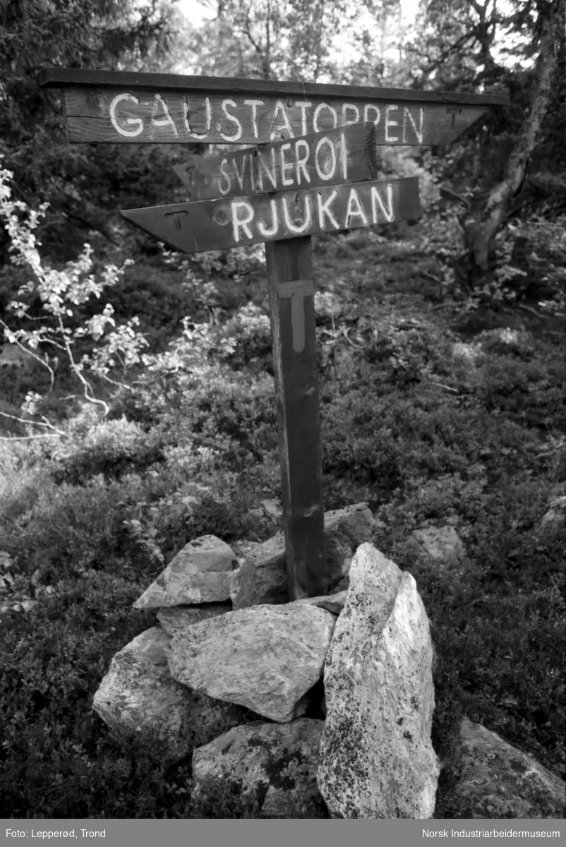 Turskilt i Gausdalen hvor det står Gaustatoppen, Svineroi og Rjukan.