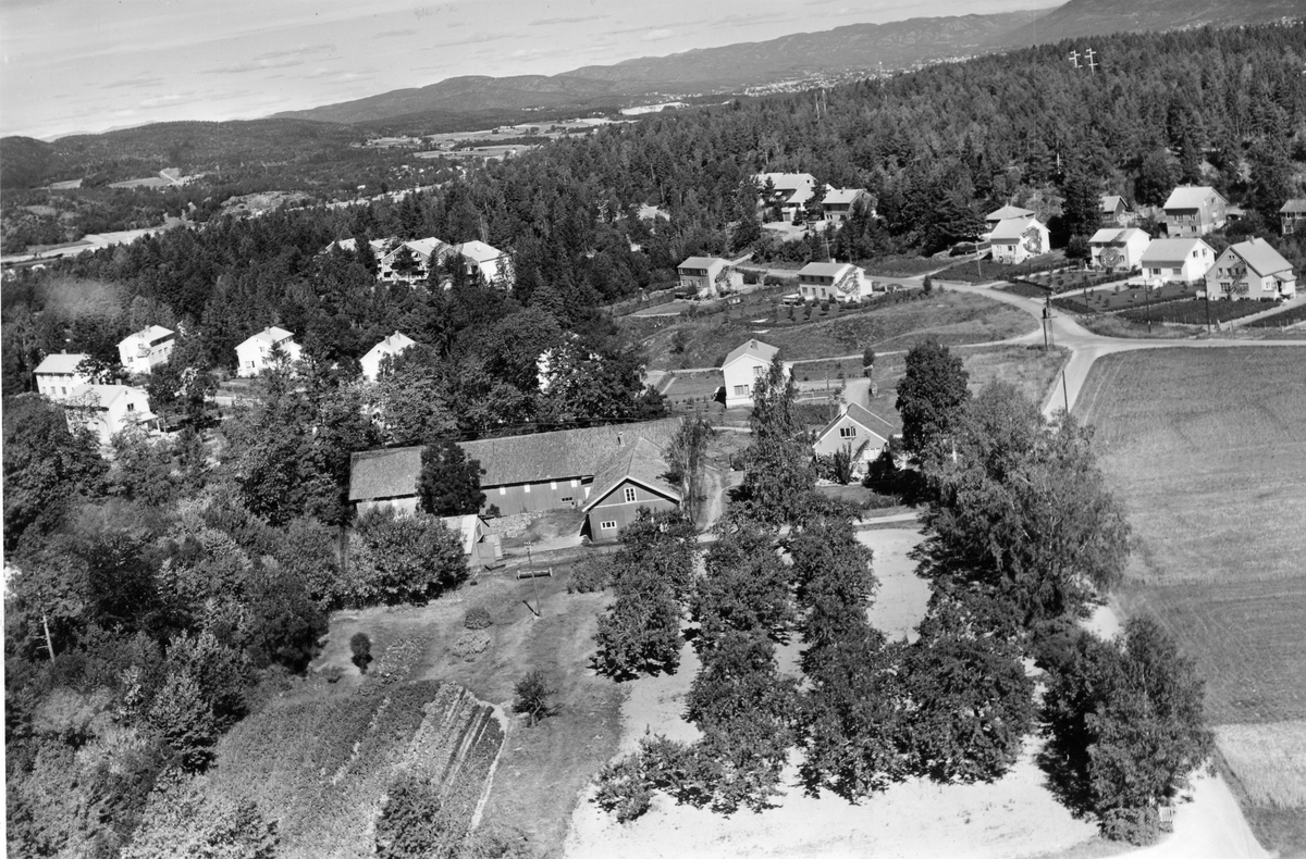 Flyfotoarkiv fra Fjellanger Widerøe AS, fra Porsgrunn Kommune. Flåtten. Fotografert 08.08.1959. Fotograf J. Kruse