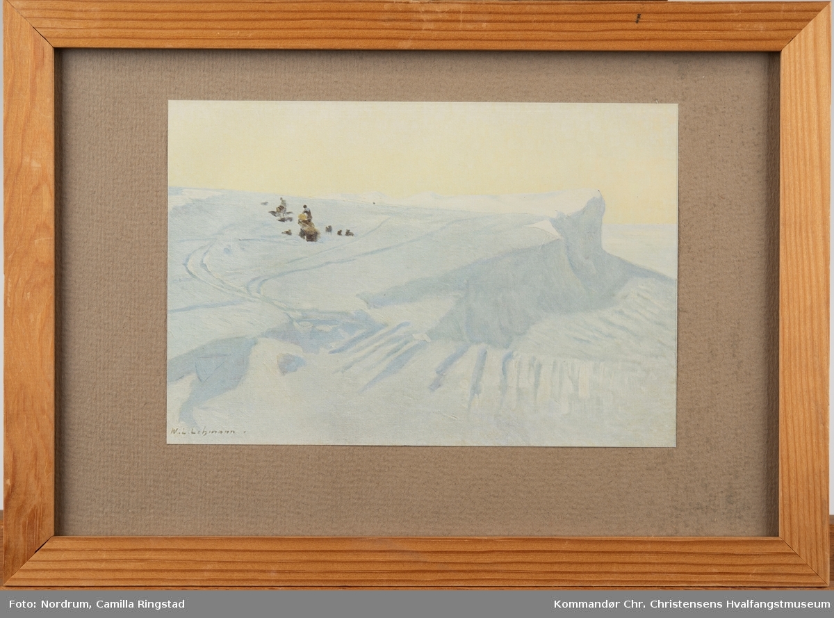 Roald Amundsens sydpolsekspedisjon. Sledeferden.