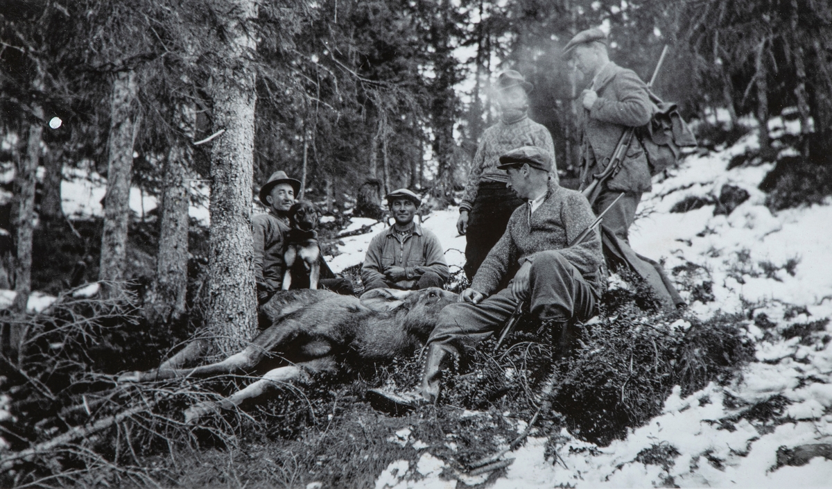 Elgjakt, jaktlag, gruppe 5 jegere med en skutt elg. Mannen med elghunden på fanget er Jens Storhov. Og mannen som røker pipe er Ole Norstad (f.1896-d.1950)