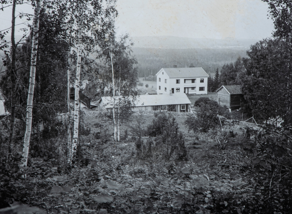 Harildstad Øvre, 333/1, Stange. 1942. Gårdstunet sett fra avstand.