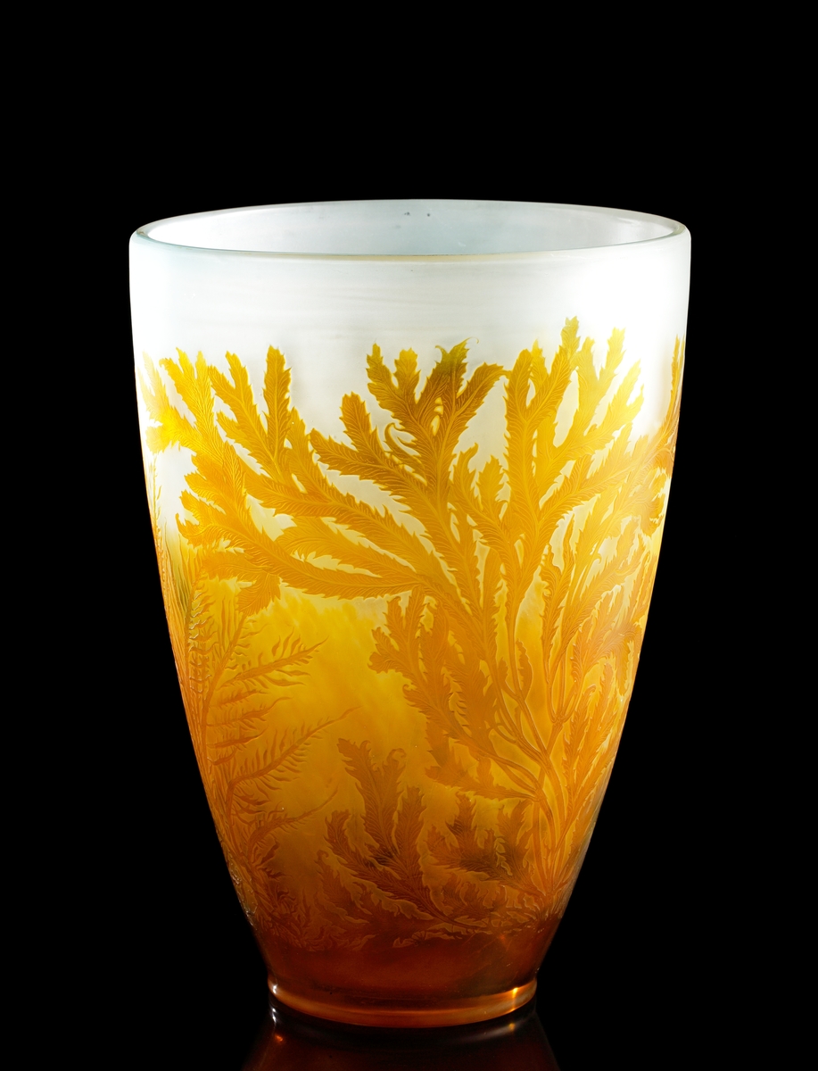 Halvopak, vit vas med etsat överfång i gul-orange nyanser. Växtmotiv föreställande havstång.
