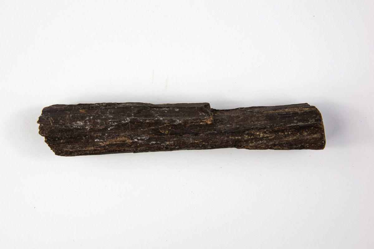 Fossilt trä kallas även för förkislat trä. Fossilt trä bildas då ett dött träds beståndsdelar utbyts ut genom cirkulerande vatten som medför sediment. Detta exemplar är en liten del av ett stort träd med en stor diameter. Stycket är suttit i ytterkanten vid barken. Exemplaret har okänt ursprung men ingår i Adolf Andersohns samling.