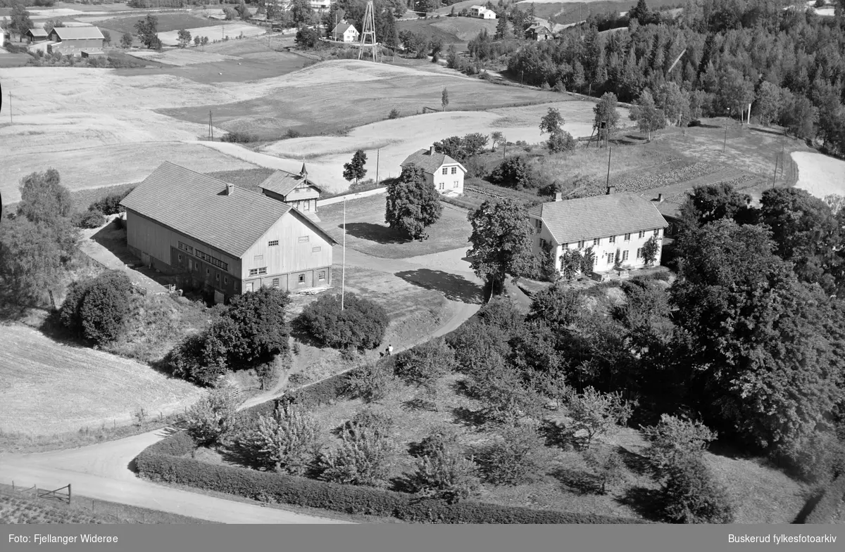 Borger gård. Borger (gnr. 101/1 m.fl.) er en gard i Haugsbygd i Ringerike kommune. Før kommunesammenslåinga i 1964 tilhørte eiendommen Norderhov kommune. Borger ligger på ca. 230 moh., ved Borgergata, som garden også har gitt navn til.