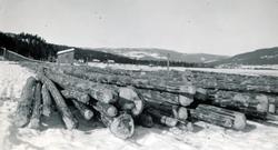 Tømmeropplag på islagt fjord. Oppbygd tømmerrenne og liten s