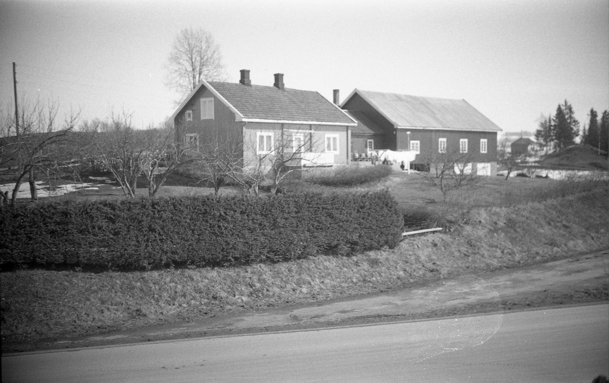 Birkeland på Kraby, Østre Toten.
