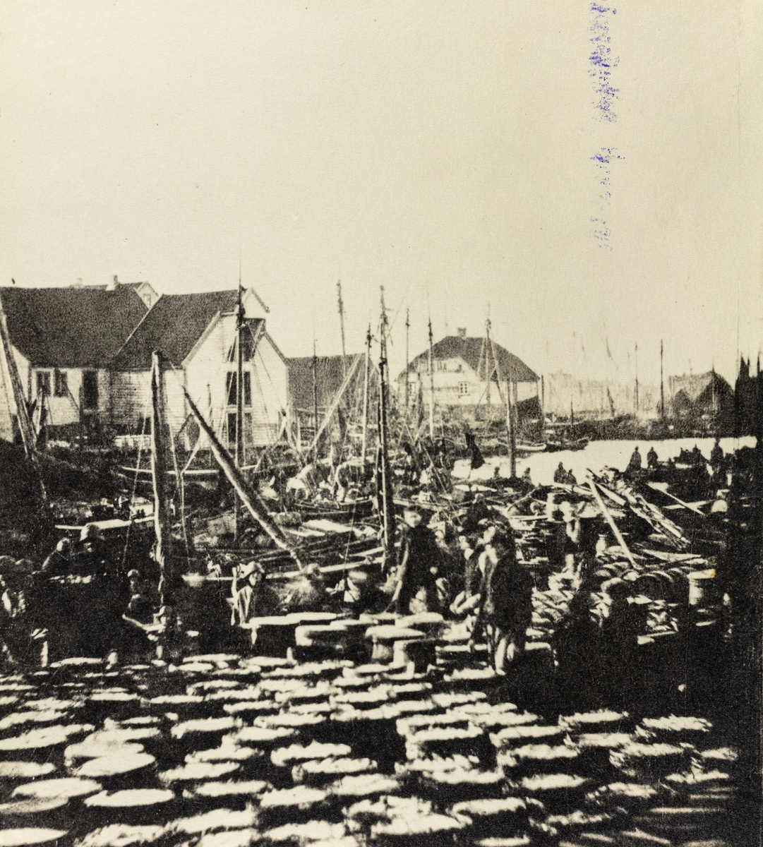 Smedasundet sett mot nordvest, 1869.