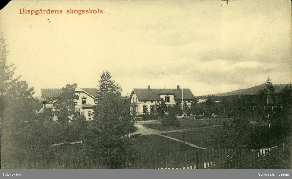 Vykort med motiv över skogsskolan i Bispgården.