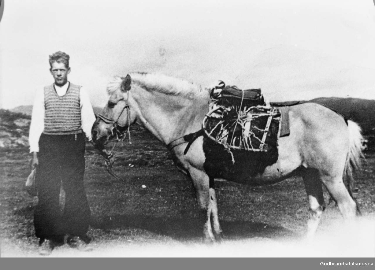 Mann med hest som bærer oppakning på ryggen, Asbjørn Brandlistuen på fjelltur med kløvhest.