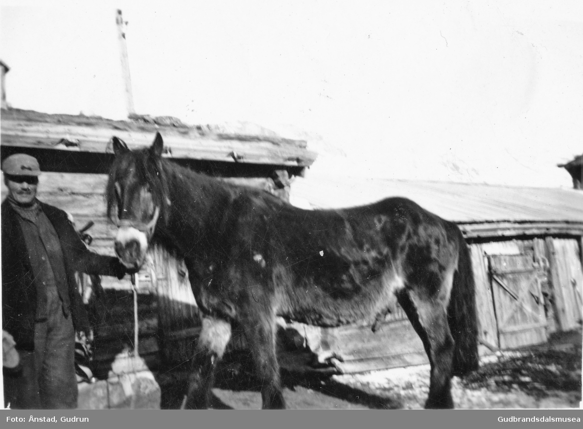 Iver Heggero (f. 1895) med hesten på nordgard Ånstad