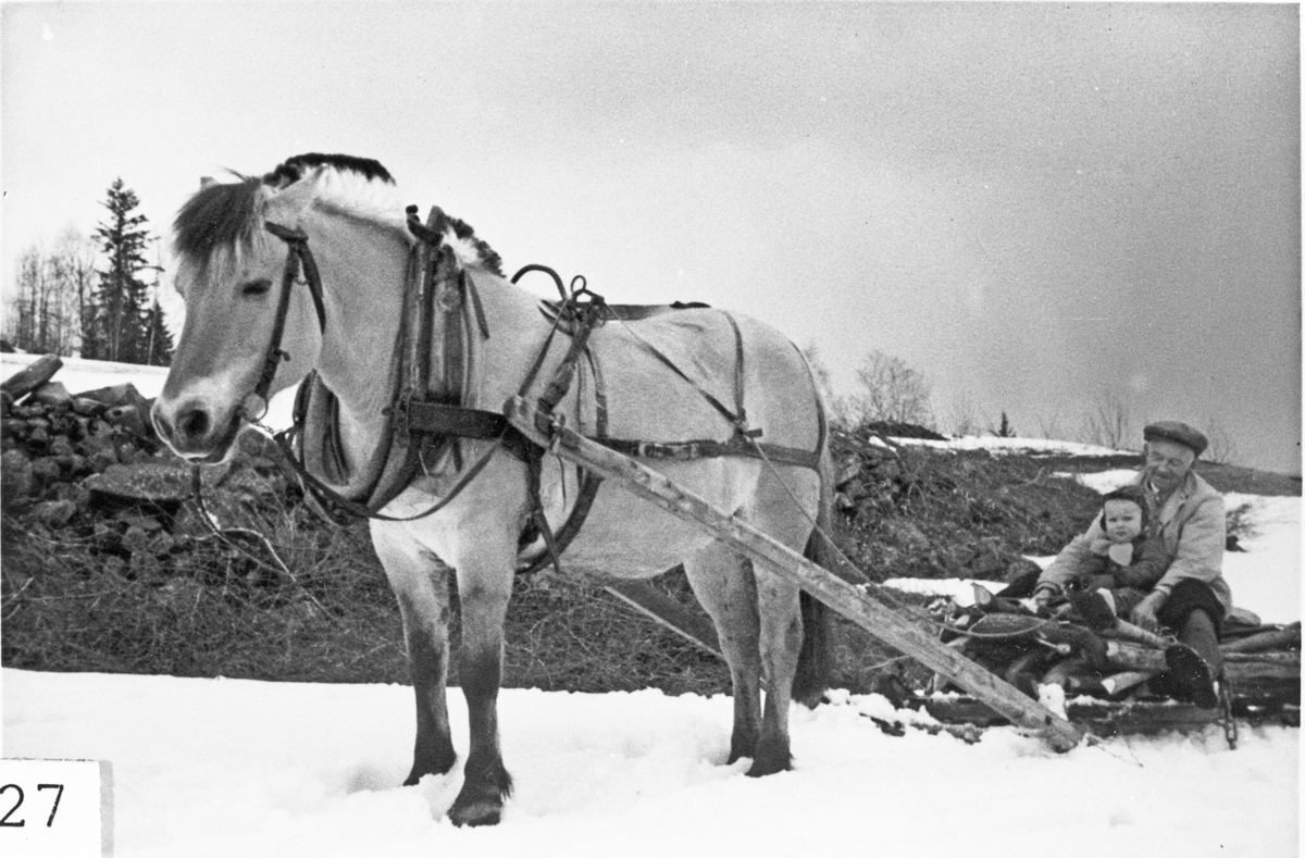 Hesten "Blakka" med vedlass. På lasset sitter Ludvig Frøvoll og Per Lyder Frøvoll. Skåla, Eggedal, 1968.