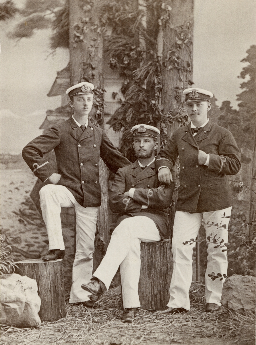 Deltog i Vanadisexpeditionen 1883-85 som löjtnant