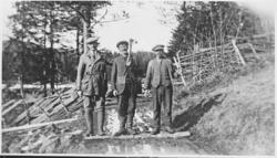 Tømmermerkere ved Løvnesvannet (Vasslilandet). Ca. 1930.