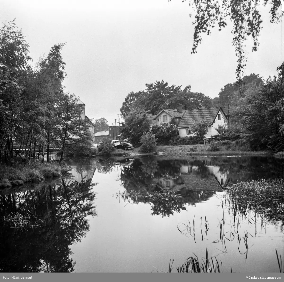 Mölndalsån, uppströms Forsebron. Mölndal, 1/6 1961.