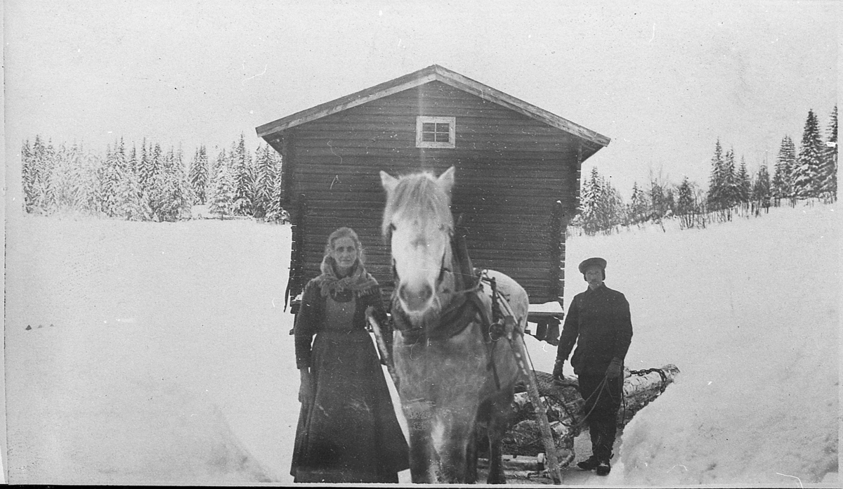 Tømmerkjøring på Nedre Sætra. Tømmeret ble kjørt til Løken. Ca. 1920.