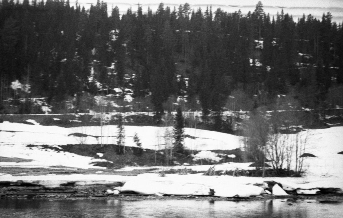 Fra Renaelva i Åmot i Hedmark våren 1941. Fotografiet er er tatt fra den nordvestre mot den sørøstre sida av elva ved Melvolldammen. Langs elvebredden lå det fortsatt forholdsvis tjukk is, men vi kan likevel skimte en tømmerskjerm, en ledevegg som skulle hindre at fløtingsvirket satte seg fast ved elvebredden og i stedet lede det ut i del av elveløpet der det var djupt og rikelig med strøm. På de snødekte åkerarealene mellom elva og Haugedalsvegen hadde grunneieren kjørt ut husdyrgjødsel i hauger, som skulle spres før jorda pløyd med tanke på en ny dyrkingssesong. I den bratte lia på oversida av vegen vokste det glissen granskog.