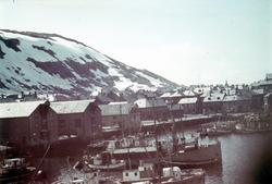 Havna i Hammerfest, med kaianlegg, bebyggelse og fiskebåter.