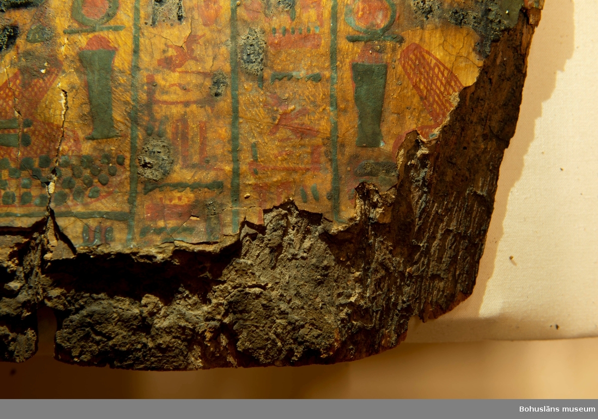 Antropoid mumiebräda dekorerad i flera färger på en gul bakgrund. Brädan lades på mumien inne i kistan. Brädan avbildar den avlidne bärandes en peruk och under hakan finns idag ett hål där ett lösskägg (?) suttit. Ett halsband är avbildat på den övre delen av bröstkorgen där även de korslagda händerna kommer fram. På kroppens mittdel finns två horisontella band med guden Amun-Ra avbildad samt hieroglyfer. Dessa två band åtskiljs av den bevingade himmelsgudinnan Nut. På brädans nederdel fyra horisontella band med gudar och hieroglyfer.

Inscription 1
Htp-di-nsw in Wsir, Xnty Imntt, Wn-nfr, HkA anxw, nTr aA, Hr-ib AbDw, aA, xa m Atf.f,
di.f prt-xrw t, Hnkt, kAw, Apdw, xt nbt nfrt abt, Wsir it-nTr, TAy bsnt n Imn [---].
Offering that the king gives to Osiris the foremost of the West, Uennefer, the sovereign
of the living ones, the great god, who is in Abydos, the great one, who rises in his atefcrown, so that he may give invocations-offerings in bread and beer, meat and fowl, and
all things good and neat to the Osiris, divine father, the chiseler of (the temple) of Amun
(---).

Inscription 2
Htp-di-nsw in Ra-HrAxty-tm, Xnty Hwt-aA, bA n pt Hr-ib Axt, s.HD tAwy m wbAt itn.f, di.f
pr bA[.i] mAA itn, Wsir it-nTr n Imn, TAy [---].
Offering that the king gives to Re-Horakhty-Atum, the foremost of the Great Temple,
who’s ba is in heaven, over the horizon, he illuminates the Two Lands, in the opening of
his disk, so that (my) ba goes forth and may see the sun disk (Aten), the Osiris, divine
father of Amun, the chiseler (---).

Inscription 3
imAxy xr
The venerable one before (…).

Inscription 4
imAxy xr Wsir, Xnty
The venerable one, before Osiris, the foremost.

Inscription 5
imAxy xr
The venerable one (…).

Inscription 6
imAxy xr skry, nb
The venerable one, before Sokaris, lord.

Inscription 7
imAxy xr
The venerable one (…).

Inscription 8
imAxy xr nTr aA, im
The venerable one, before the great god in.

Inscription 9
imAxy xr Nb-Hwt
The venerable one, before Nephthys.

Inscription 10
imAxy xr Nb-Hwt
The venerable one, before Nephthys.

Ur Knut Adrian Anderssons katalog II
Uddevalla - Musei - Historiska - Samlingar: E: Utländska föremål
De Etnografiska föremålen upprättad år 1916:
No 63 Lock till Sarcofag = Mumiekista
från omkring 1200 år före Kristi födelse. Kistan
omslöt en Ammons-präst (avmålad å locket)
funnen i Egypten vid Thebe (=Deir el Bahari)
Skänktes till U-A Museum i mars 1910 av herr Carl
Christiansson i Paris (f. d. Uddevallabo)

Ur handskrivna katalogen 1957-1958:
Lock t. mumiesarkofag Egypt. 
L.175. Br. 32,5. Trä målad i färg. Något skadad, en lös bit.

Lappkatalog: 100

Se även av/v fotografier under Referenser, UM000546 och UM000547.