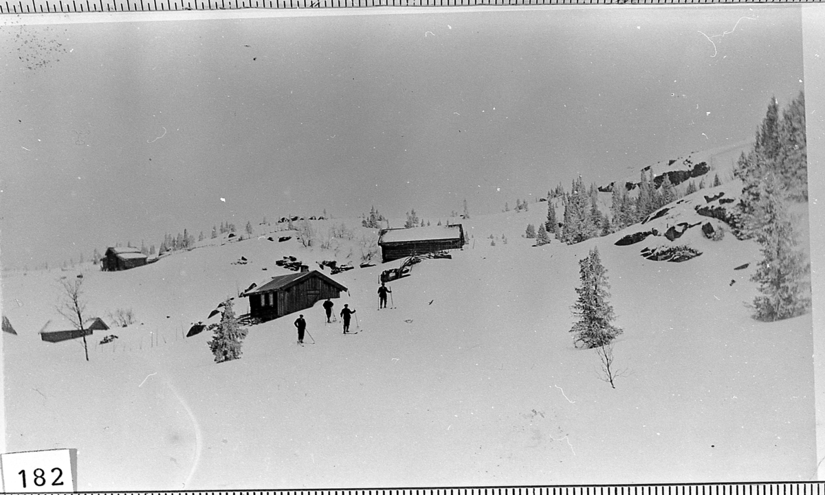 Vinter ved Skåla-langsetra med 4 skiløpere på avstand. Ukjent tidspunkt, muligens 1950-årene.