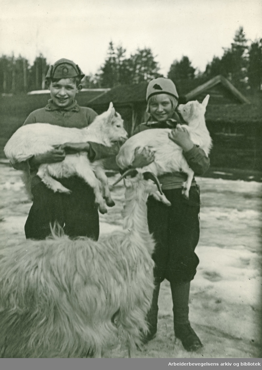 Barn med geit. Geitebukk. 1930-tall..