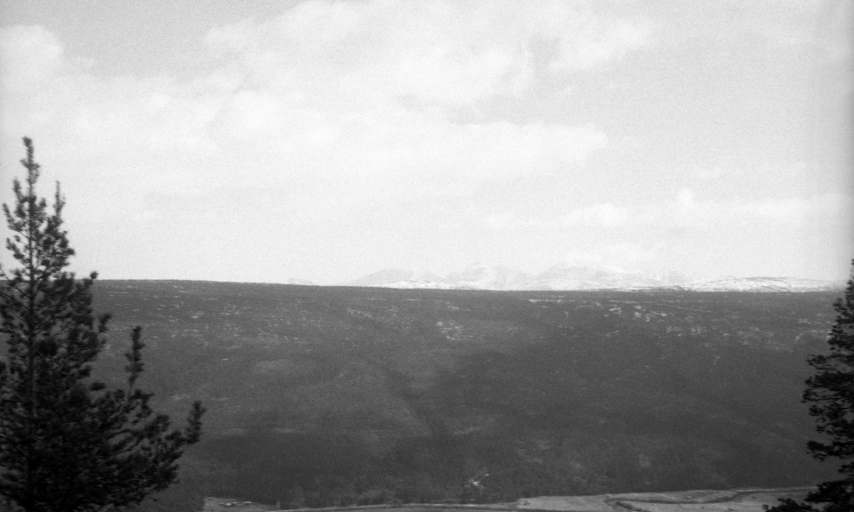Utsikt mot Rendalssølen, et fjellmassiv der den nordre toppen rager 1699 meter over havet.  Fotografiet er tatt fra «Utsikten» nedunder Haukkampen ved vegen mellom Hanestad og bygdesenteret Bergset.  I forgrunnen ses den øvre delen av det dyrkete arealet i Østagrenda og den skogkledde åsen på den østre sida av dalføret.