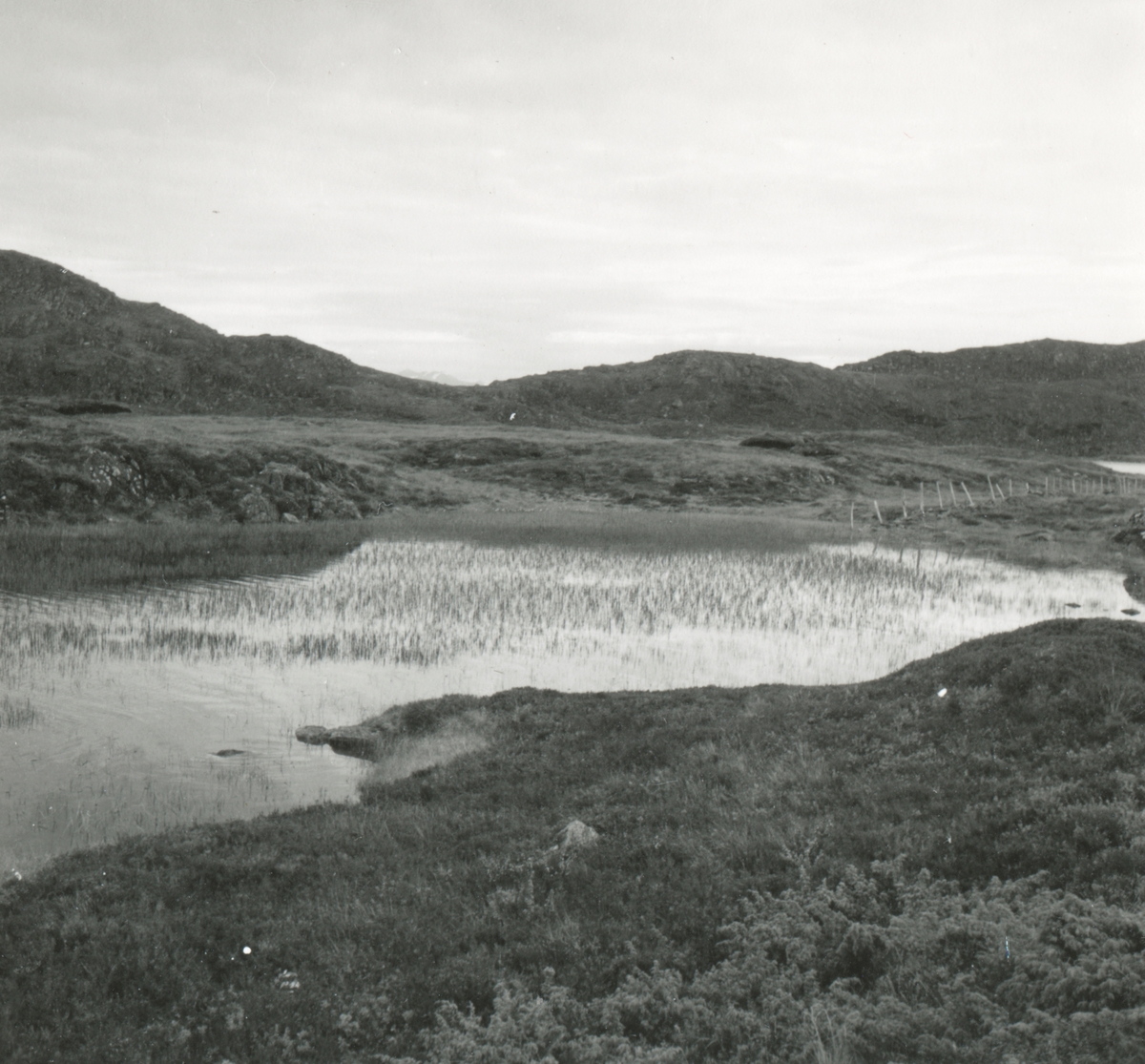 Landskapsbilde av Alnesvatnet oppe på Godøyfjellet.