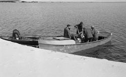 Fire fløtere i en varpebåt på Osensjøen. En femte arbeidskam