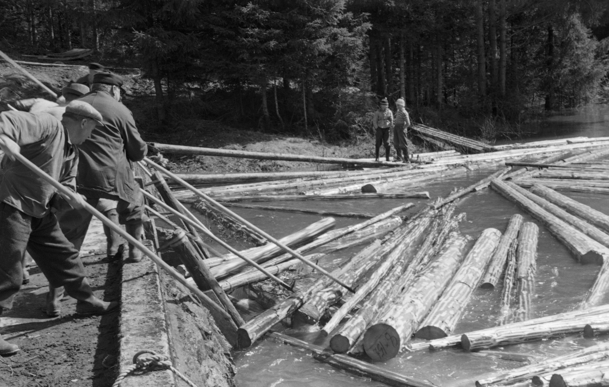 Tømmerfløtere i arbeid på Måsåmyrdammen i Mørkåa i Nord-Odal kommune i Hedmark våren 1955. Bildet er tatt fra damkrona, der det sto fire karer med fløterhaker som de brukte til å trekke mot damløpet. Ved stranda på sørsida av dammen sto to gutter og betraktet arbeidet. I 1954 var det innmeldt 35 897 tømmerstokker med et samlet volum på 3 688 kubikkmeter til fløting på Mørkåa. Det utgjorde om lag 4 prosent av fløtingsvolumet i Odalsvassdraget dette året.