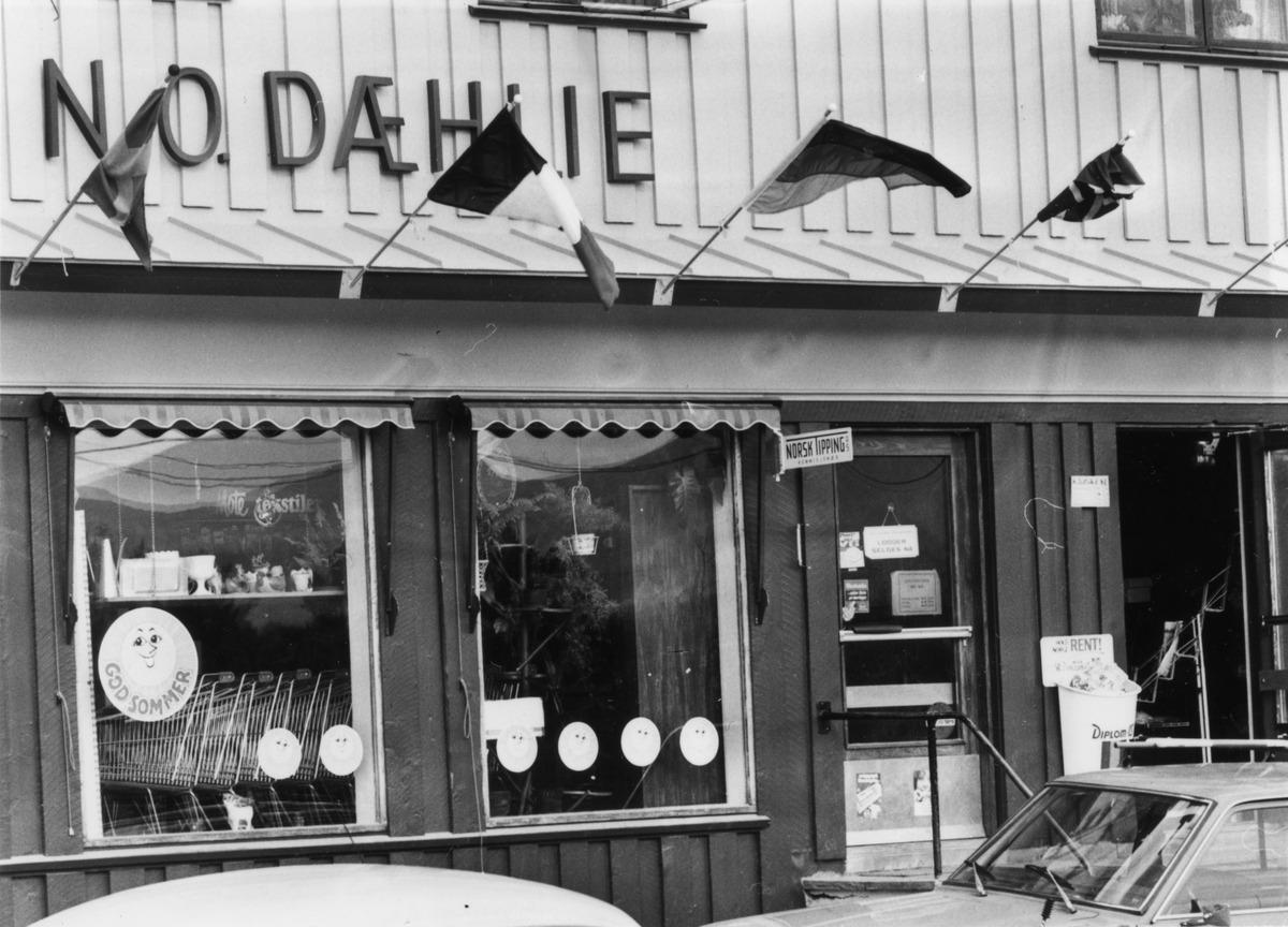 N.O. Dæhlie, Alvdal. Butikk i 100 år