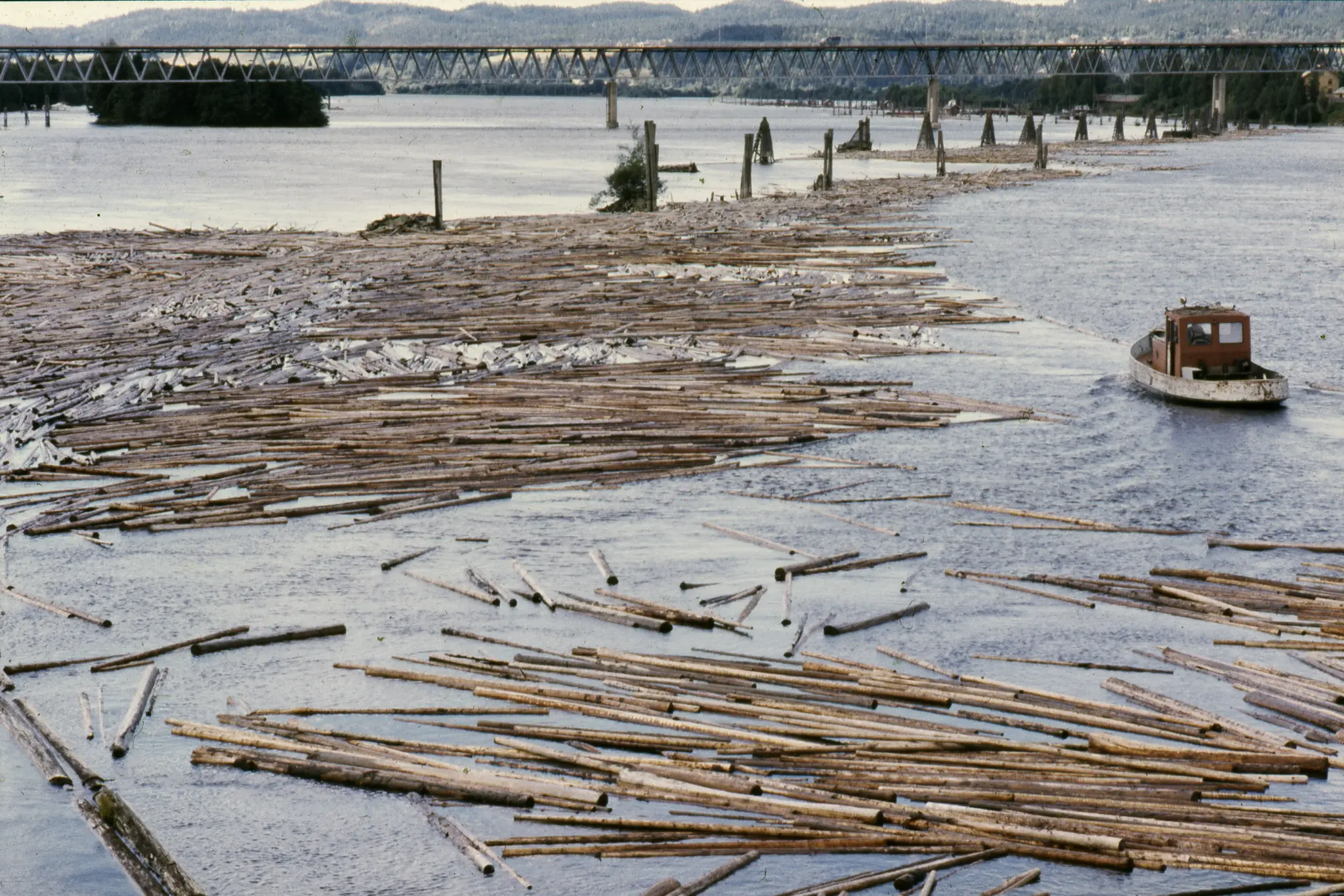 Foto: O. T. Ljøstad/Anno Norsk Skogmuseum