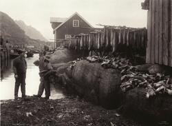 "Prot: Ure - Fisken paa jeller 12/3 1910
