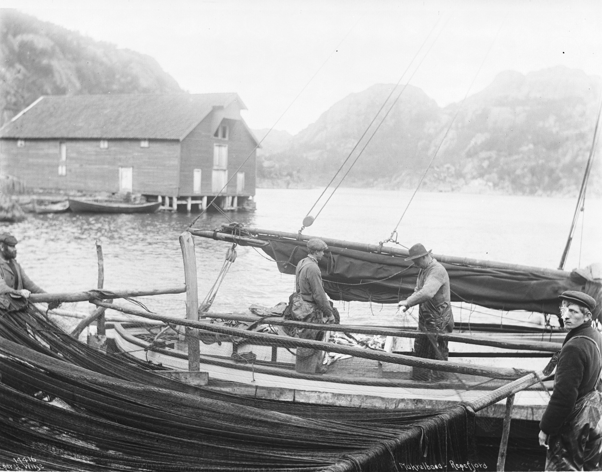 Prot: Rægefjord - Makrelbaad