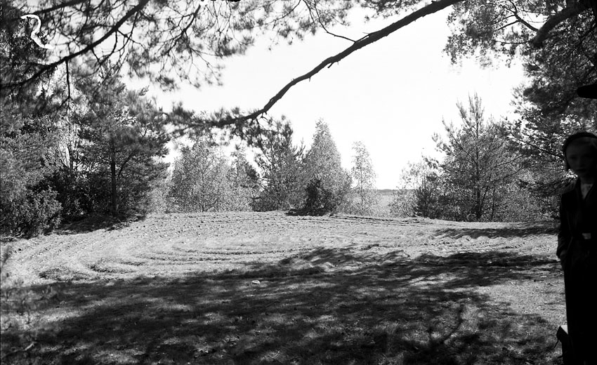 Labyrint Trojeborg på Badelundaåsen vid Tibble, Västerås.