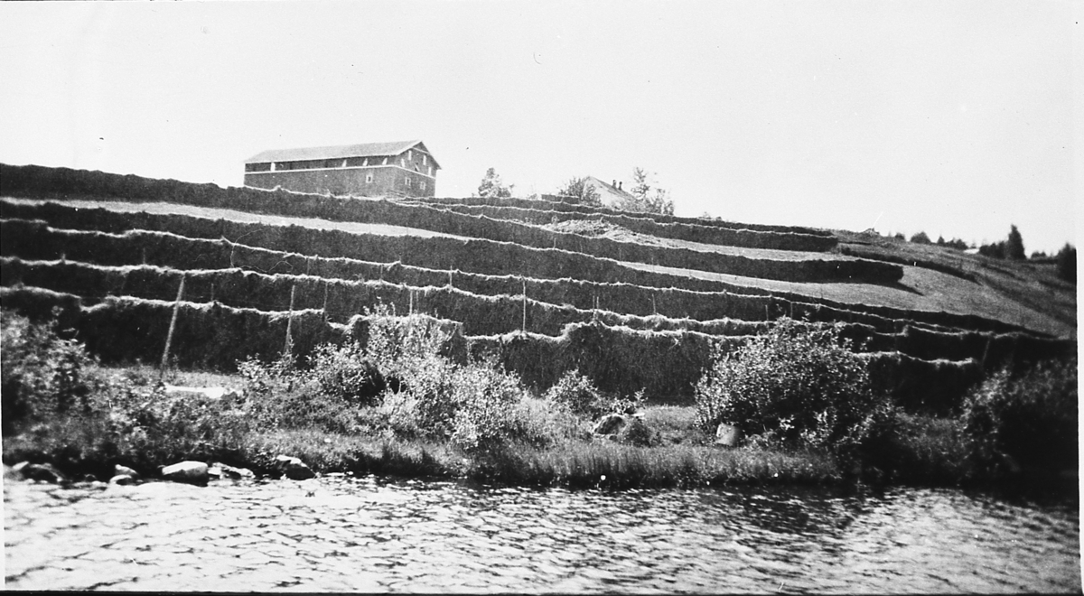 Hesjer med høy under slåttonna på Setra, 1942.