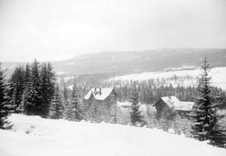 Kort: Øyer, Hunder st