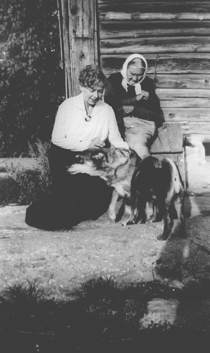 Ruth (Arnesen) Madsen og tante Laura ? og en hund på Høyås husmannsplass.