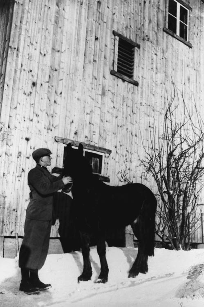 Erling og hesten Brunen foran låven bygd i 1932.