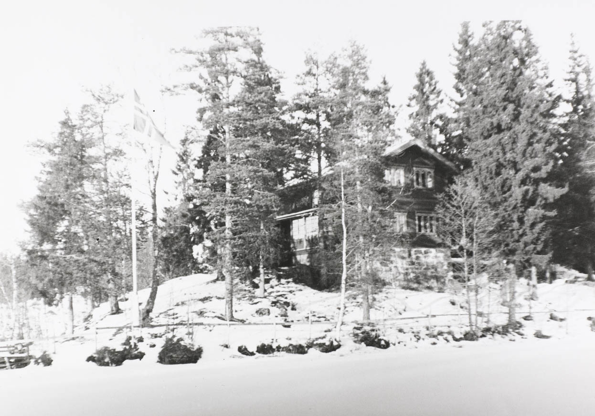 Hus, skog,sne